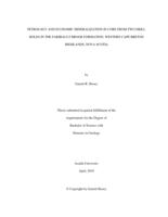 Petrology and economic mineralization in core from two drill holes in the Faribault Brook Formation, western Cape Breton Highlands, Nova Scotia