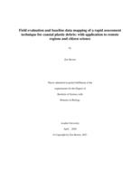 Field evaluation and baseline data mapping of a rapid assessment technique for coastal plastic debris