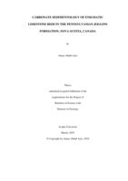 Carbonate sedimentology of enigmatic limestone beds in the Pennsylvanian Joggins Formation, Nova Scotia, Canada